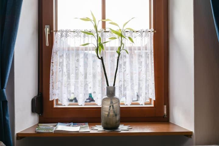 Vanek Apartment Kotschach-Mauthen Екстер'єр фото